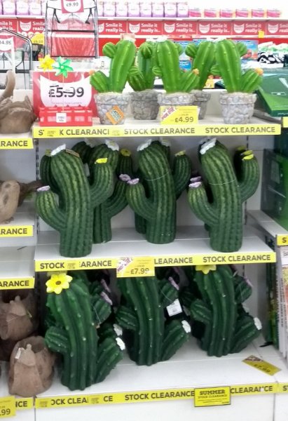 cactus qd.jpg