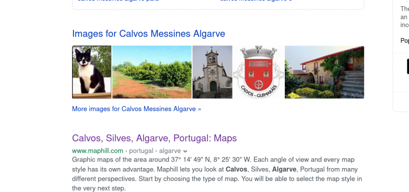 Calvoc immortalised 7 Jul.png