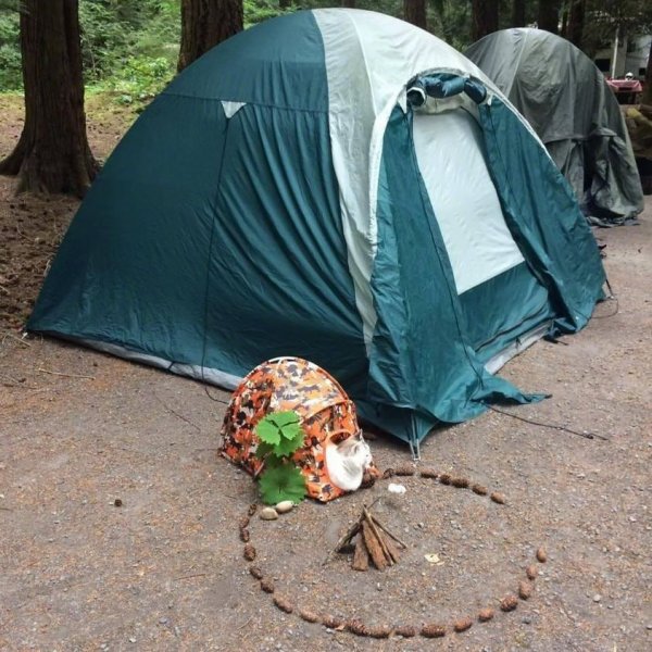 Camping.jpg