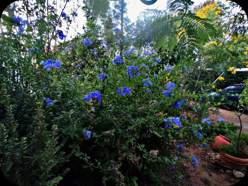 Car ark 1 Aug 25.jpg