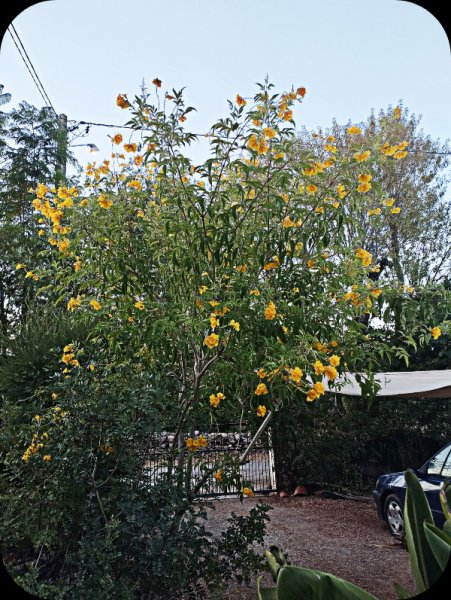 Car Park2 1 Aug 25.jpg