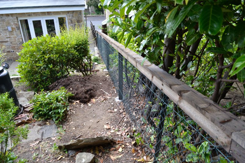 Caroles fence _25. (1).JPG