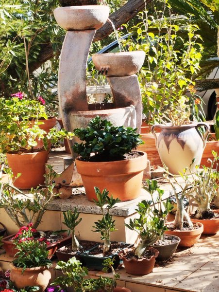 Carrissa 24 Sep 25.jpg