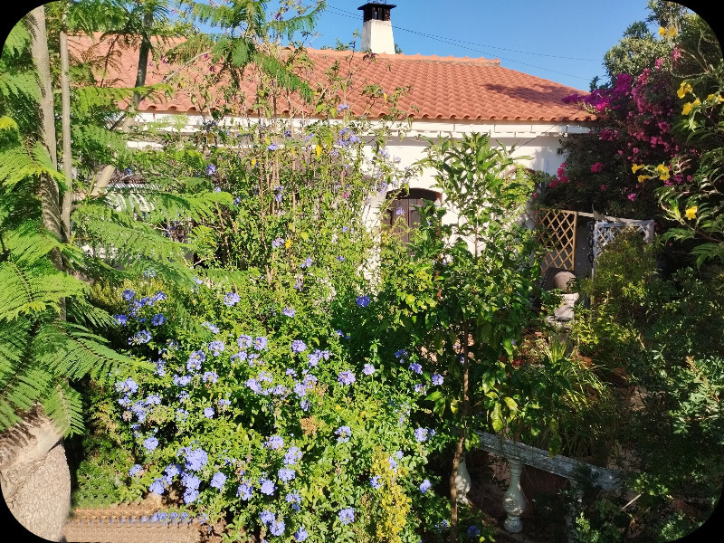 CasaD1 14 Jul 25.jpg