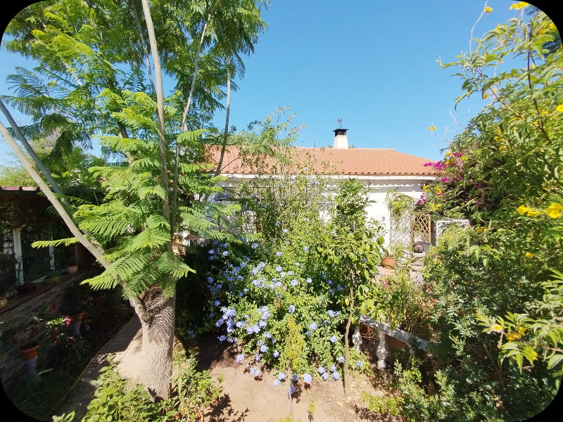 CasaD1a 14 Jul 25.jpg