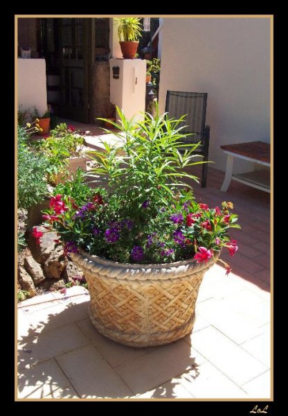 Casadee2 2 Jul 08.jpg