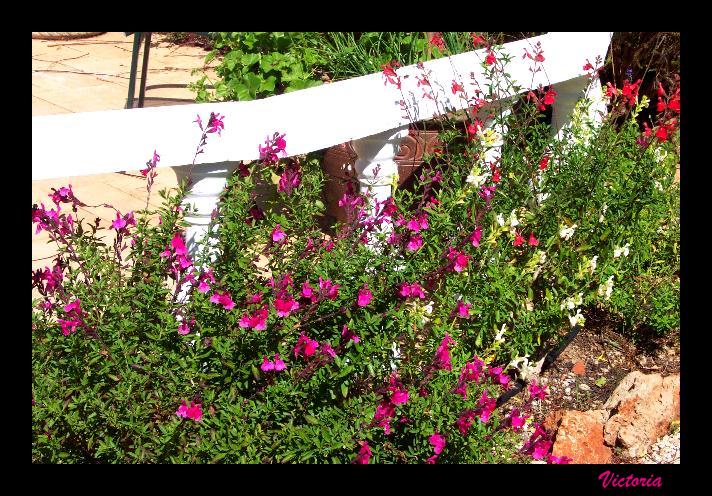 Casadee6 25 Apr 08.jpg