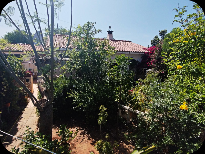 Casadinho 7 Jun 25.jpg