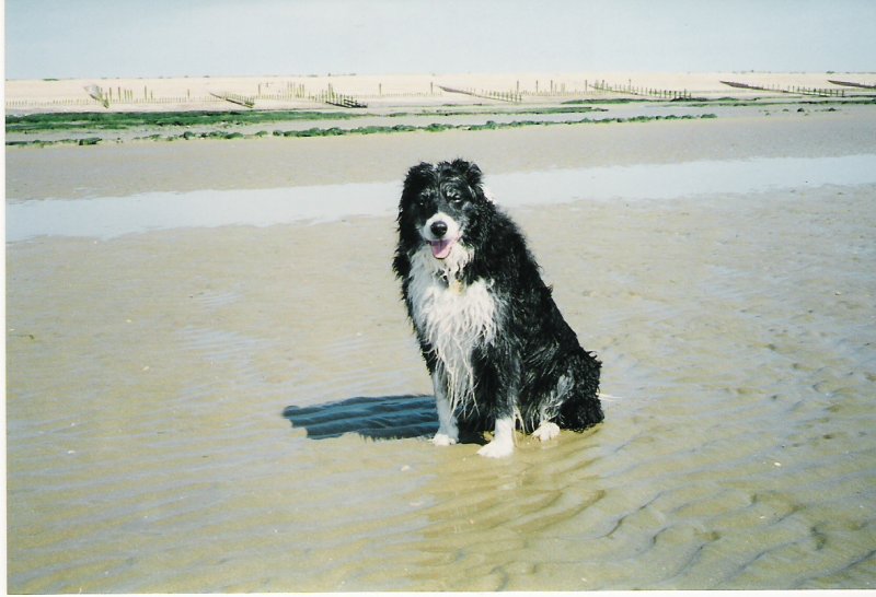 Cassie @ Winchelsea.jpg