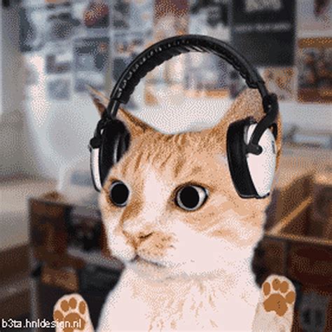 Cat with Headphones.jpeg