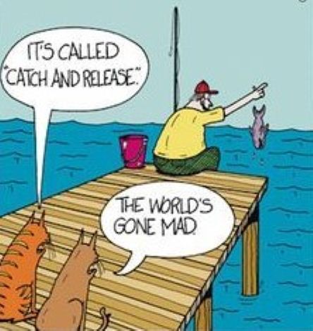 Catch and Release.jpg