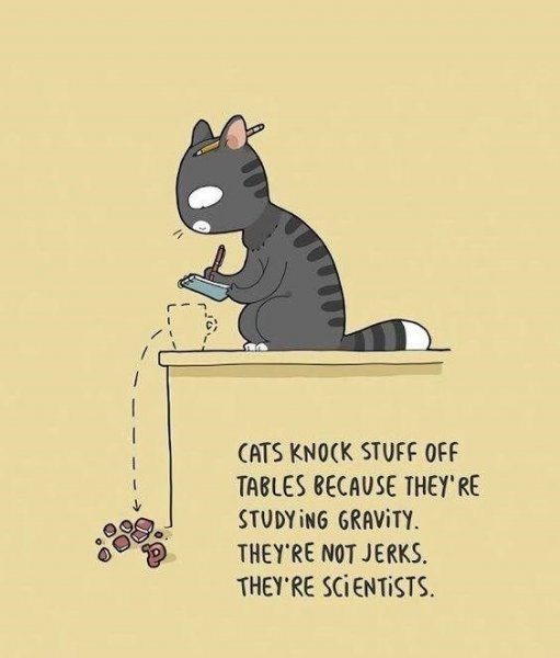 Cats are scientists.jpg