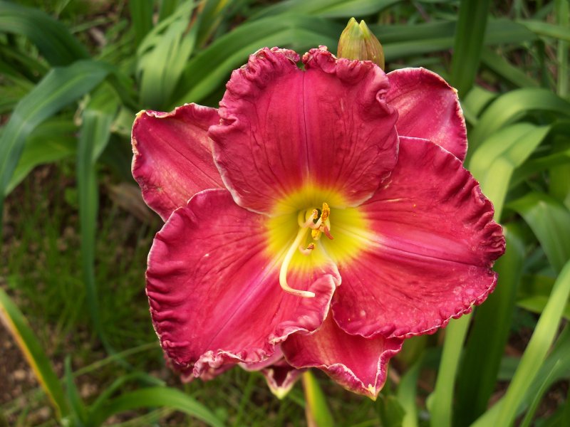 Celestial Empire x Bold Paint (2).JPG