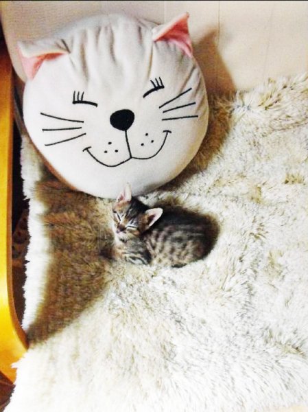 Chere3 20 Jun 09.jpg