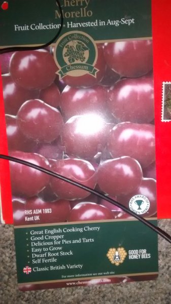 Cherry Morello label edit.jpg