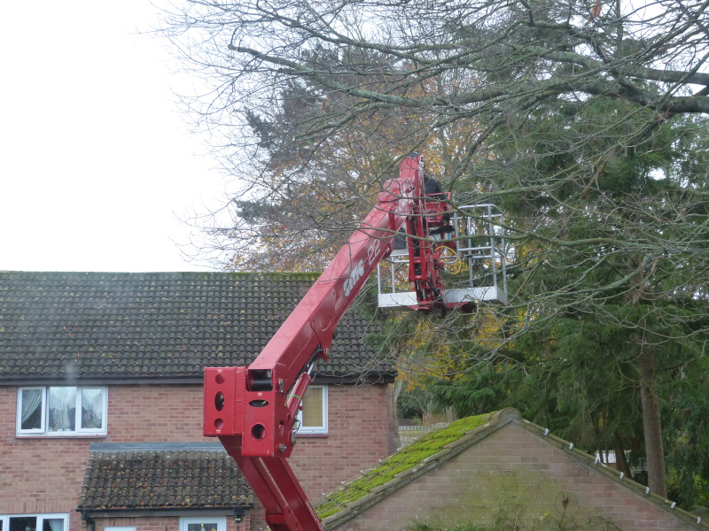 Cherry Picker in use.JPG