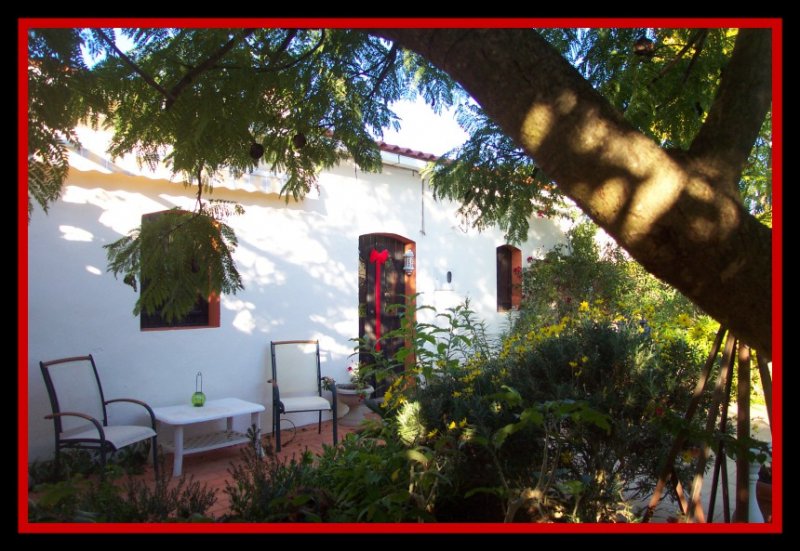 Christmas Nov 08.jpg