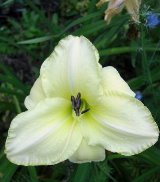 CIMG0001 (564x640).jpg