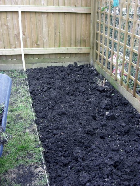 CIMG0002 (768x1024).jpg