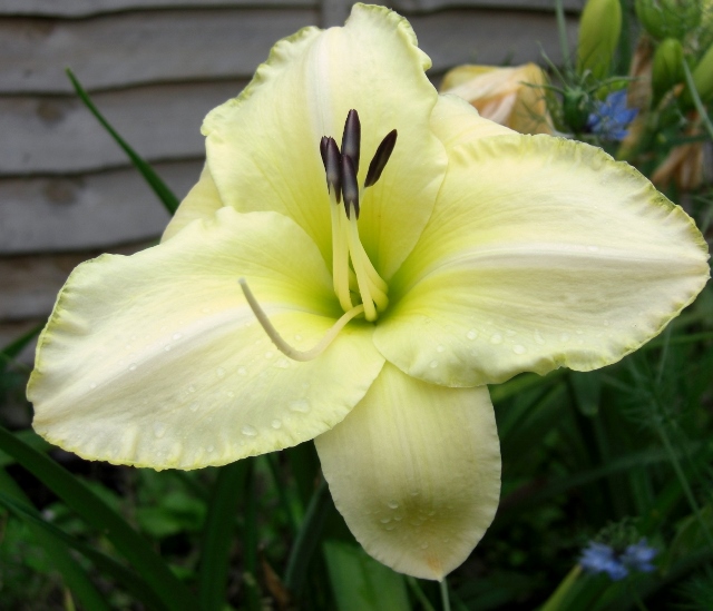 CIMG0004 (640x549).jpg