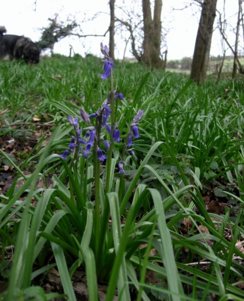 CIMG0004 (651x800).jpg