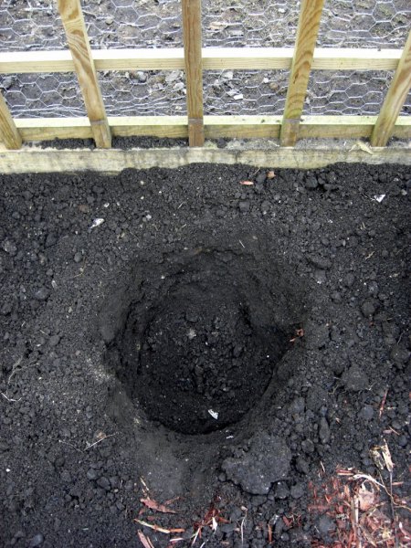 CIMG0008 (768x1024).jpg