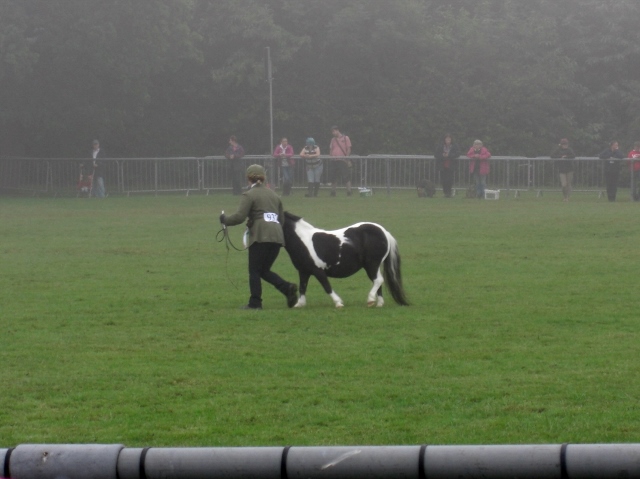 CIMG0009 (640x479).jpg