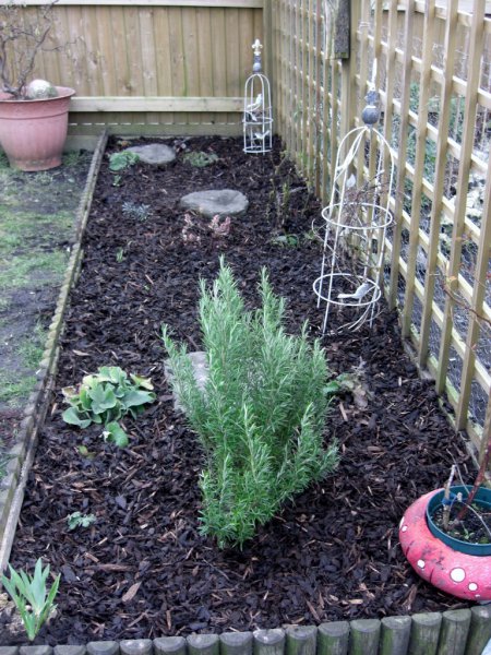 CIMG0010 (768x1024).jpg