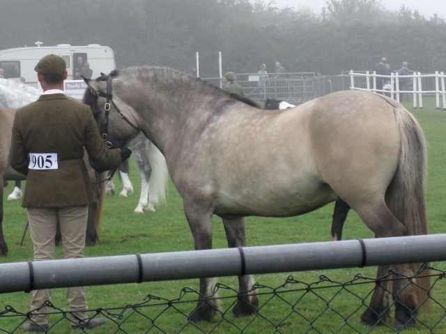 CIMG0012 (640x479).jpg