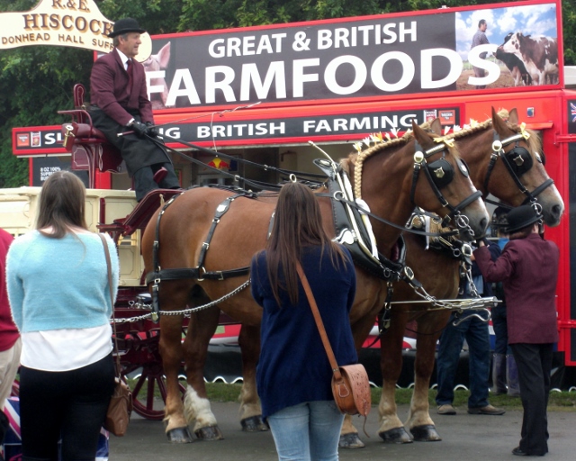 CIMG0014 (640x512) (2).jpg