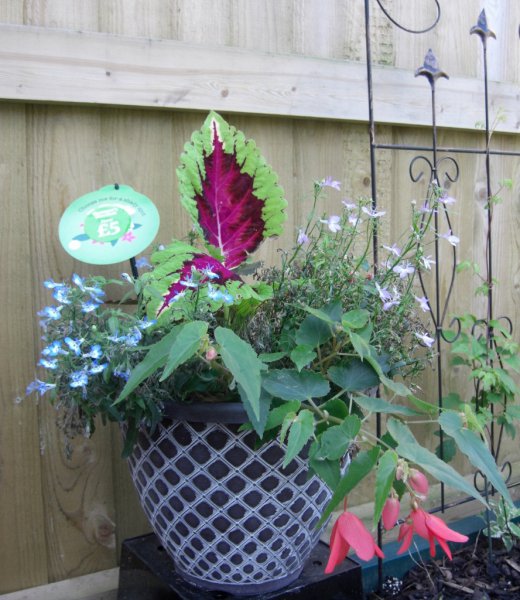 CIMG0014 (888x1024).jpg