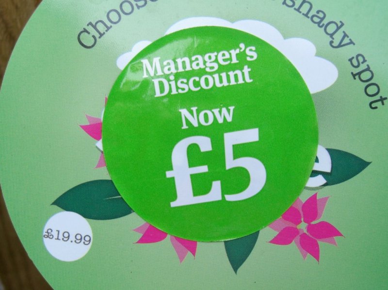 CIMG0015 (1024x767).jpg