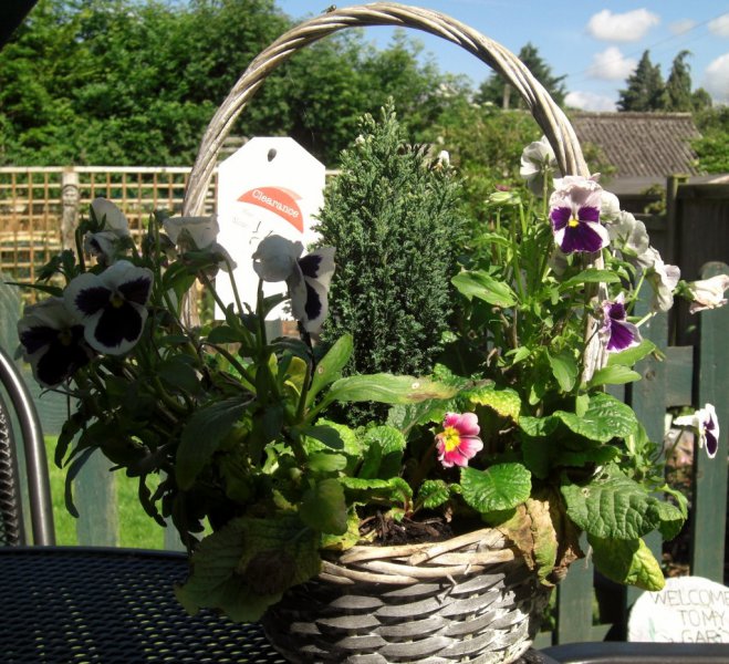 CIMG0016 (1024x932).jpg