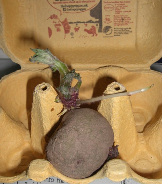 CIMG0016 (900x1024).jpg