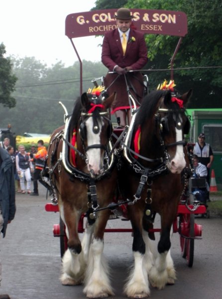 CIMG0017 (476x640).jpg