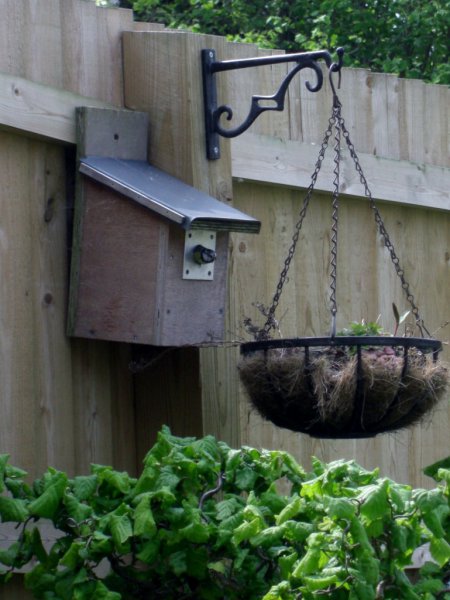 CIMG0018 (769x1024).jpg