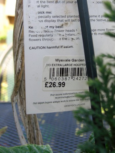 CIMG0018 (769x1024).jpg