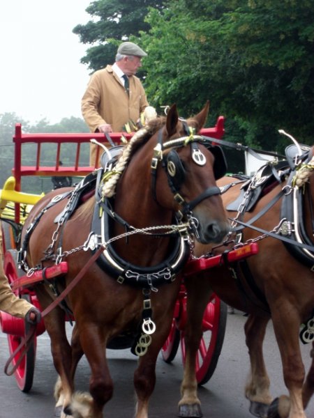 CIMG0019 (480x640).jpg