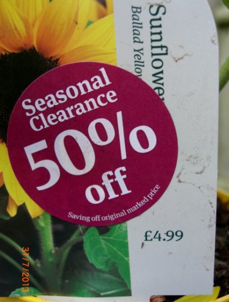 CIMG0019 (485x640).jpg