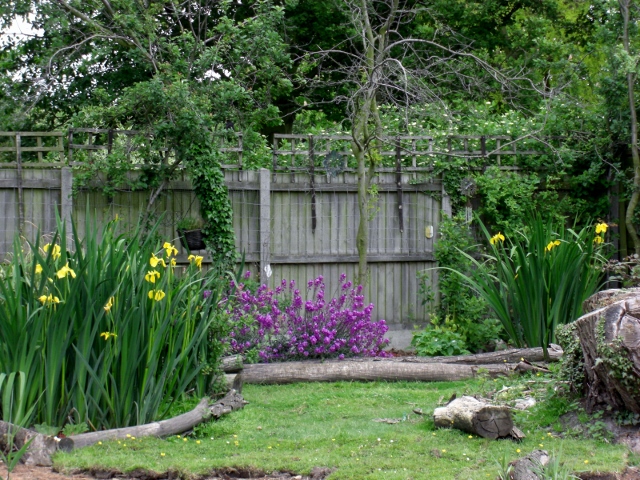 CIMG0019 (640x480).jpg