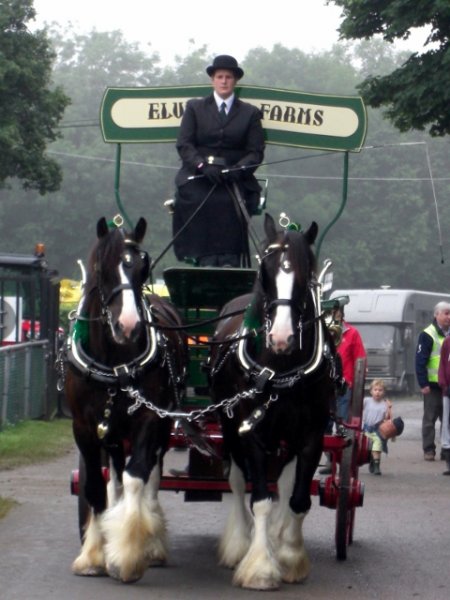 CIMG0020 (480x640).jpg