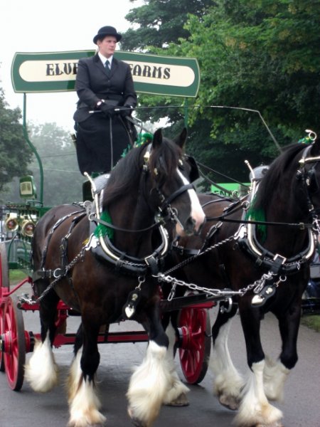 CIMG0021 (480x640).jpg