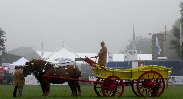 CIMG0024 (640x346).jpg