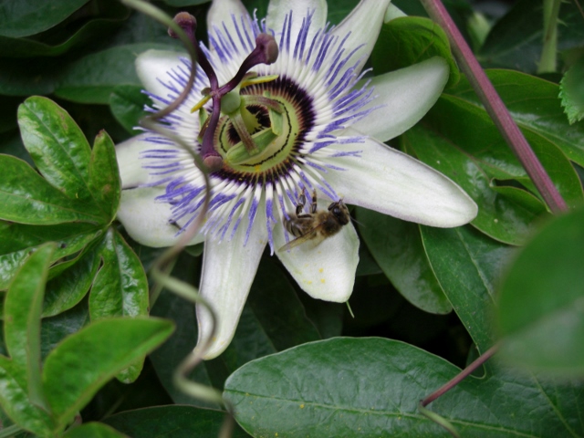 CIMG0027 (640x480).jpg