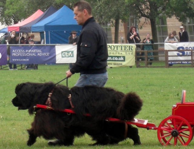 CIMG0027 (640x491).jpg