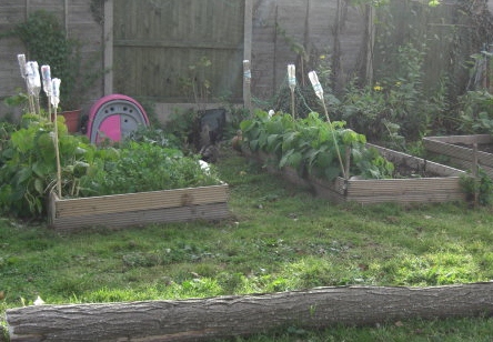 CIMG0029 (444x308).jpg