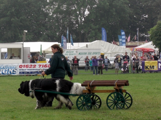 CIMG0029 (640x479).jpg