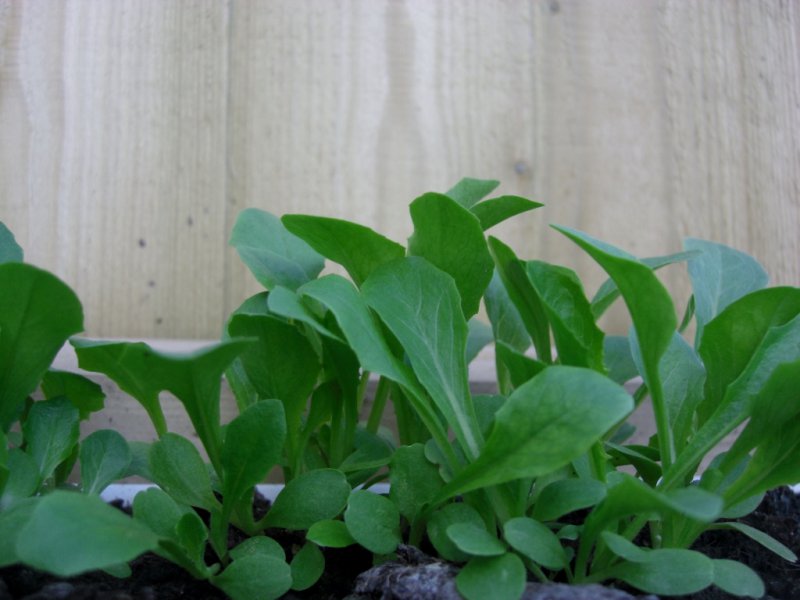 CIMG0034 (1024x768).jpg