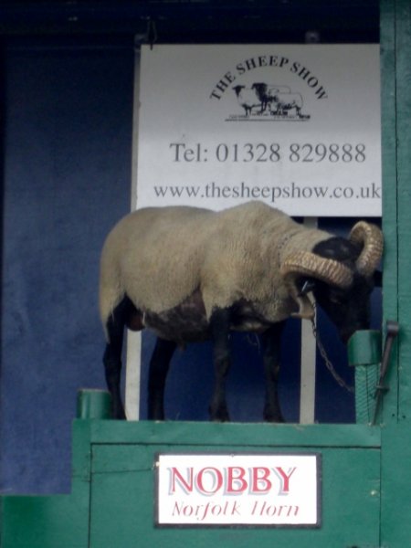 CIMG0036 (480x640).jpg