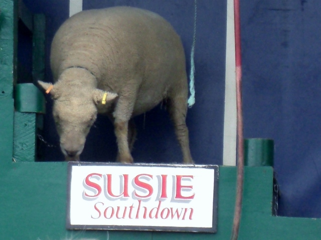 CIMG0038 (640x479).jpg